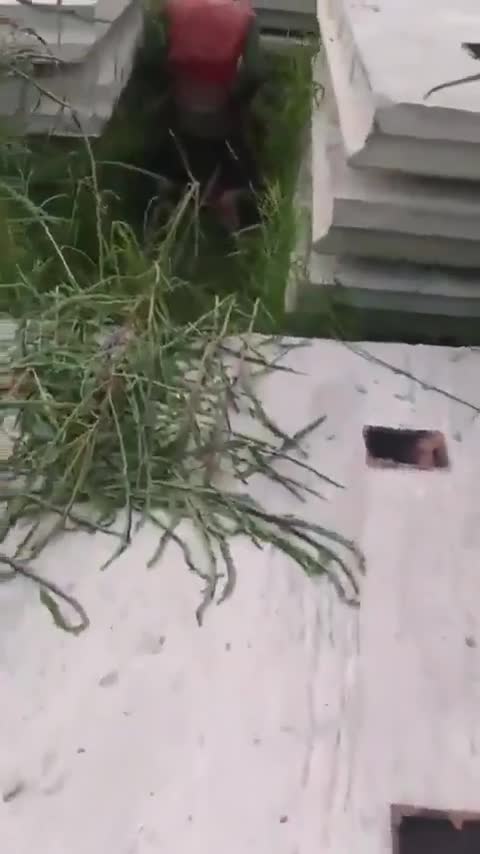 Caught fucking in the bush