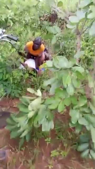 Caught red handed fucking her daughter in the bush